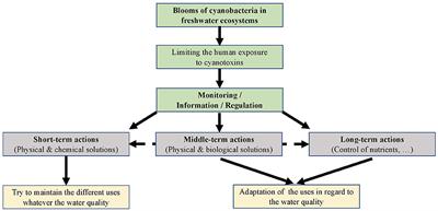 The Suitability of Chemical Products and Other Short-Term Remedial Methods for the Control of Cyanobacterial Blooms in Freshwater Ecosystems